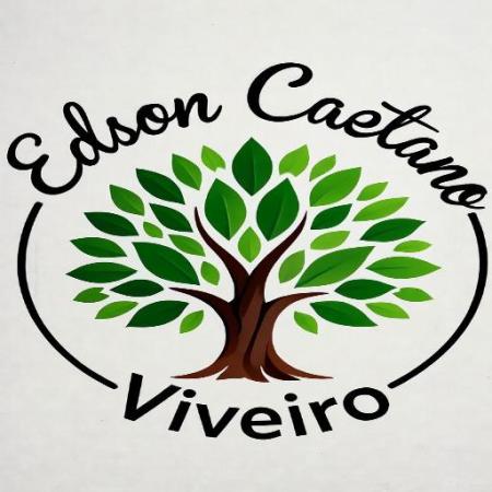 Edson Caetano 